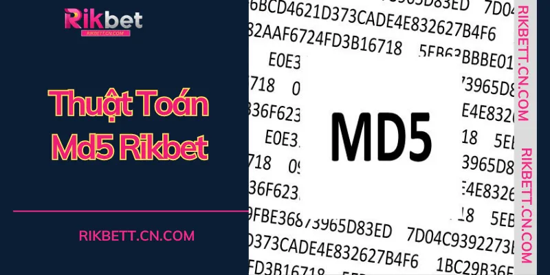 Sử dụng thuật toán MD5 rikbet để kiểm chứng tính minh bạch trong từng phiên cược